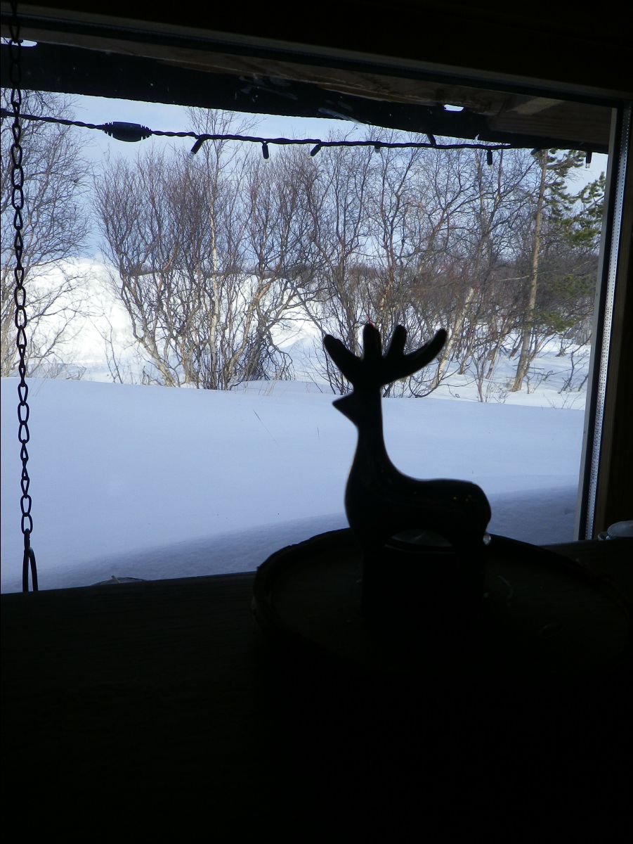 Snow Hotel46